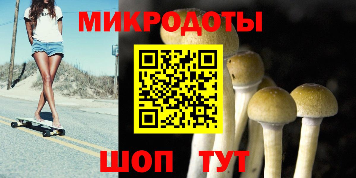 Галлюциногенные грибы GOLDEN TEACHER  Вход с VPN  Галлюциногенные грибы Psilocybe  Тулун 