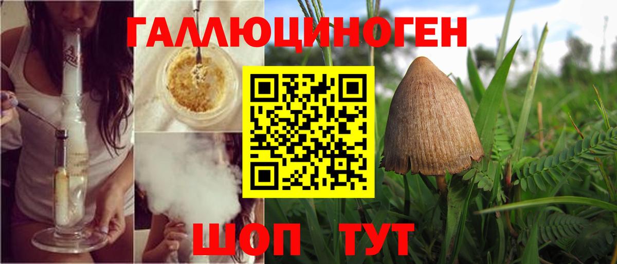 Галлюциногенные грибы MAGIC MUSHROOMS Тулун